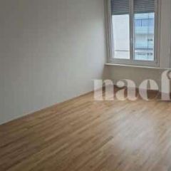 Appartement 1.5 pièce - Rue de Malatrex 30 Genève