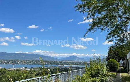 Très bel appartement dans le quartier de Budé