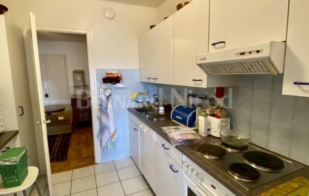 Très bel appartement dans le quartier de Budé