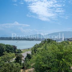 Magnifique appartement de 9 pièces avec vue sur le Jet d&#039;eau 