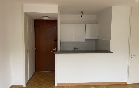 Plainpalais &#8211; quartier des banques &#8211; studio