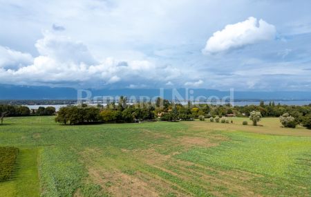 Magnifique appartement meublé à Collonge-Bellerive