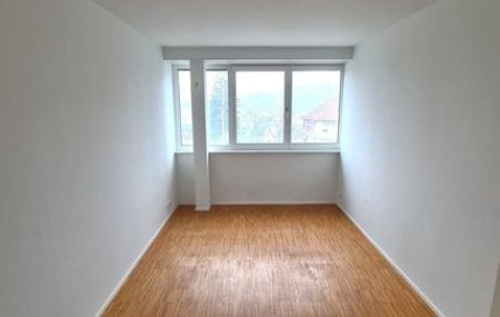 Moderne Wohnung in Aesch