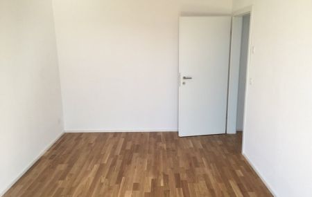 renovierte 3 Zimmerwohnung