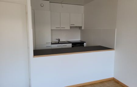 Appartement GE Servette