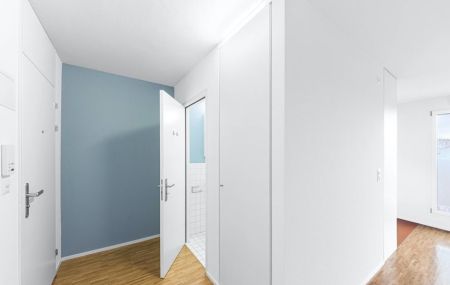 Schöne Studentenwohnung im Herzen von Basel