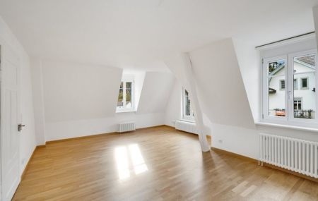 Dachwohnung mit viel Licht und Luft im Riethüsli