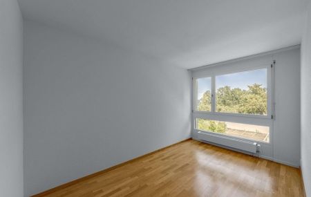 Ihr neues Zuhause auf dem Bruderholz