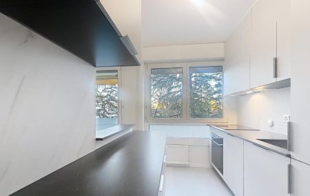 Joli appartement rénové de 3 pièces