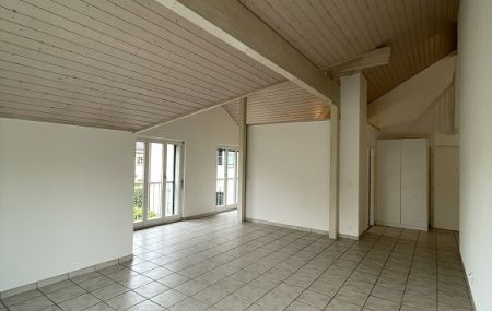 Joli duplex de 5 pièces à Puplinge, dans la campagne…