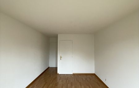 Joli duplex de 5 pièces à Puplinge, dans la campagne…