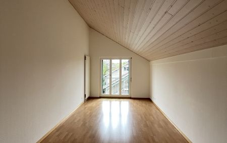 Joli duplex de 5 pièces à Puplinge, dans la campagne…