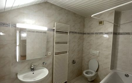 Joli duplex de 5 pièces à Puplinge, dans la campagne…