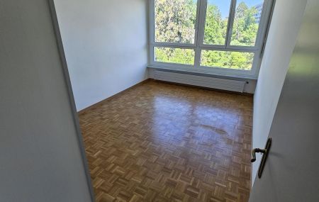 Appartement 5 pièces  | Servette