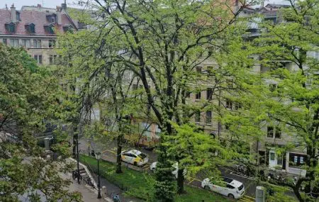Appartement meublé    3 pièces  | Vieille-Ville