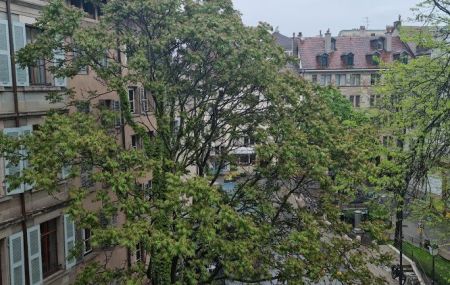 Appartement meublé    3 pièces  | Vieille-Ville