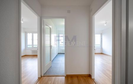Meyrin, avenue de Vaudagne, 3 pièces au Rez supérieur