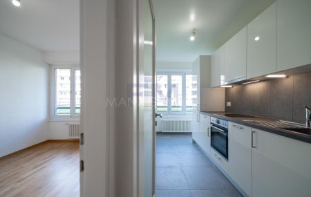 Meyrin, avenue de Vaudagne, 3 pièces au Rez supérieur