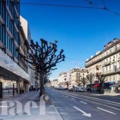 Appartement 3 pièces - Boulevard Georges-Favon 15 Genève