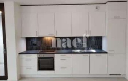Appartement 3 pièces - Rue de la Servette 89 B Genève