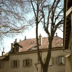 Appartement 2 pièces - Rue Farel 8 Genève
