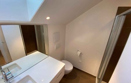 Appartement de 5 pièces en triplex avec cour et jardin à Thônex
