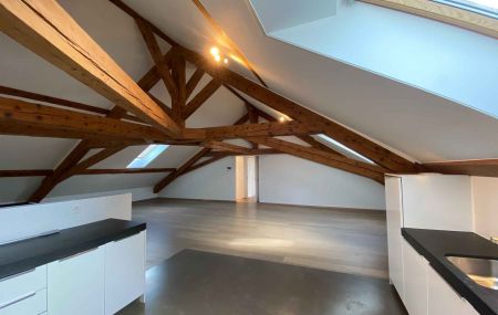 Appartement de 5 pièces en triplex avec cour et jardin à Thônex
