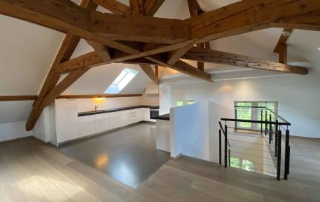 Appartement de 5 pièces en triplex avec cour et jardin à Thônex