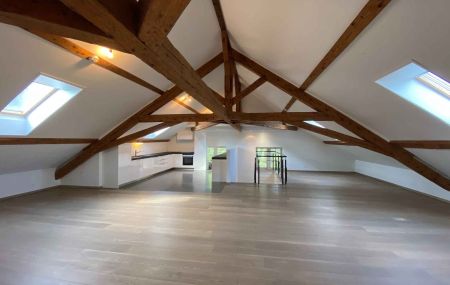 Appartement de 5 pièces en triplex avec cour et jardin à Thônex