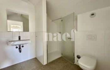 Appartement 5 pièces - Route de Chêne 87 Chêne-Bougeries