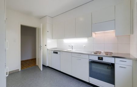 Ein gemütliches Zuhause in Allschwil gesucht?