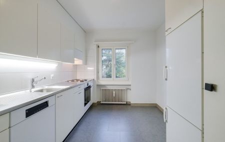 Ein gemütliches Zuhause in Allschwil gesucht?