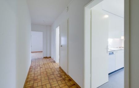 Ein gemütliches Zuhause in Allschwil gesucht?