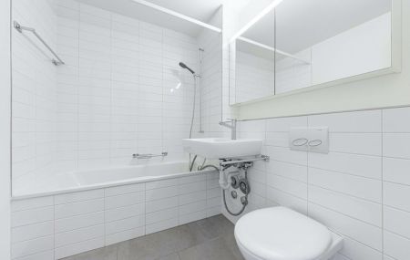 Helle und moderne Wohnung in der Nähe vom Dreiländereck