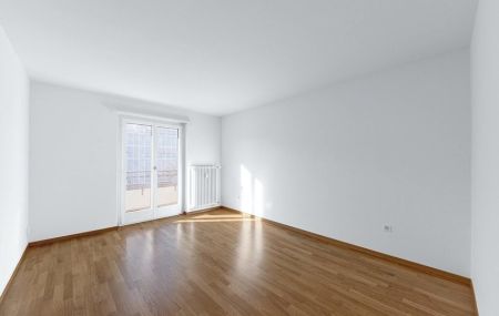 Helle und moderne Wohnung in der Nähe vom Dreiländereck