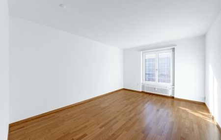 Helle und moderne Wohnung in der Nähe vom Dreiländereck