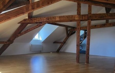Grosszügige 2-Zimmer Dachwohnung