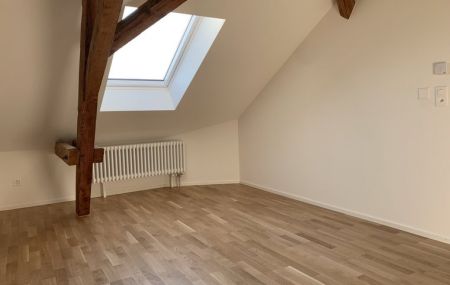 Grosszügige 2-Zimmer Dachwohnung