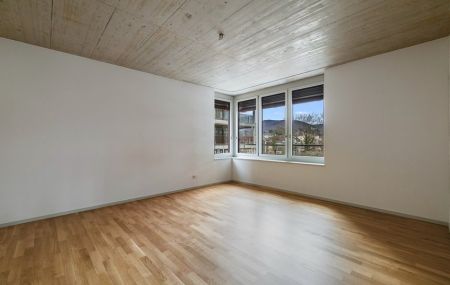 Moderne Architektur: 4.5-Zimmer-Wohnung im offenen Riegelbau