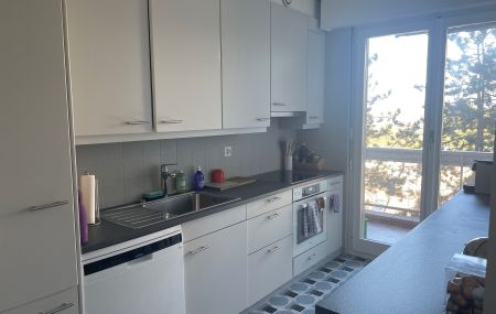 Appartement GE Champel