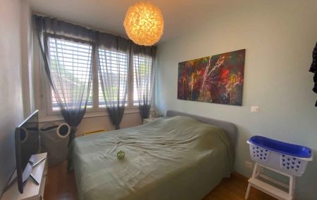 Appartement de 3 pièces avec balcon à Plainpalais proche Hôpital