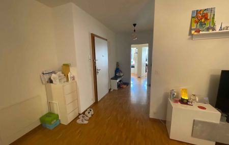 Bel appartement de 5 pièces à Versoix