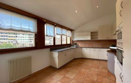 Appartement duplex de 5 pièces en attique avec 2 terrasses Vieux-Carouge