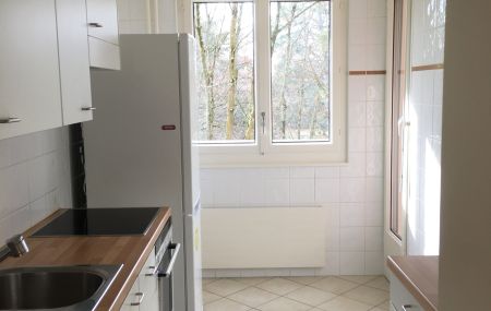 Appartement 4.5 pièces  | Malagnou