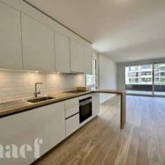 Appartement 2 pièces - Chemin Jean-Jacques Asper 45 Troinex