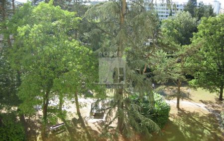BEL APPARTEMENT DE 3 PIECES + BALCON