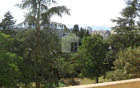 BEL APPARTEMENT DE 3 PIECES + BALCON