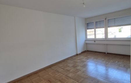 Appartement de 3 pièces situé en face de la plaine…