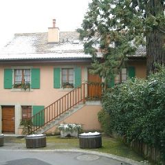 Appartement Petit-Lancy