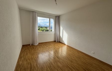 Quartier de Plan-les-Ouates &#8211; Bel appartement de 5 pièces en…